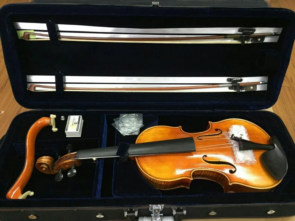 VIOLA CASE
