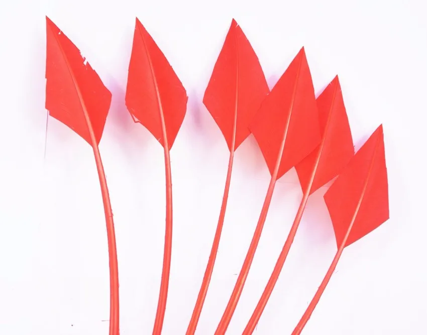 B049-red-4