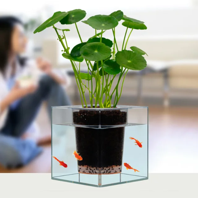 Creative Clear Tube Plant Pot / Flower Pot Decorative Self-Watering Planter Fish Tank for Home Office Desk Free Shipping