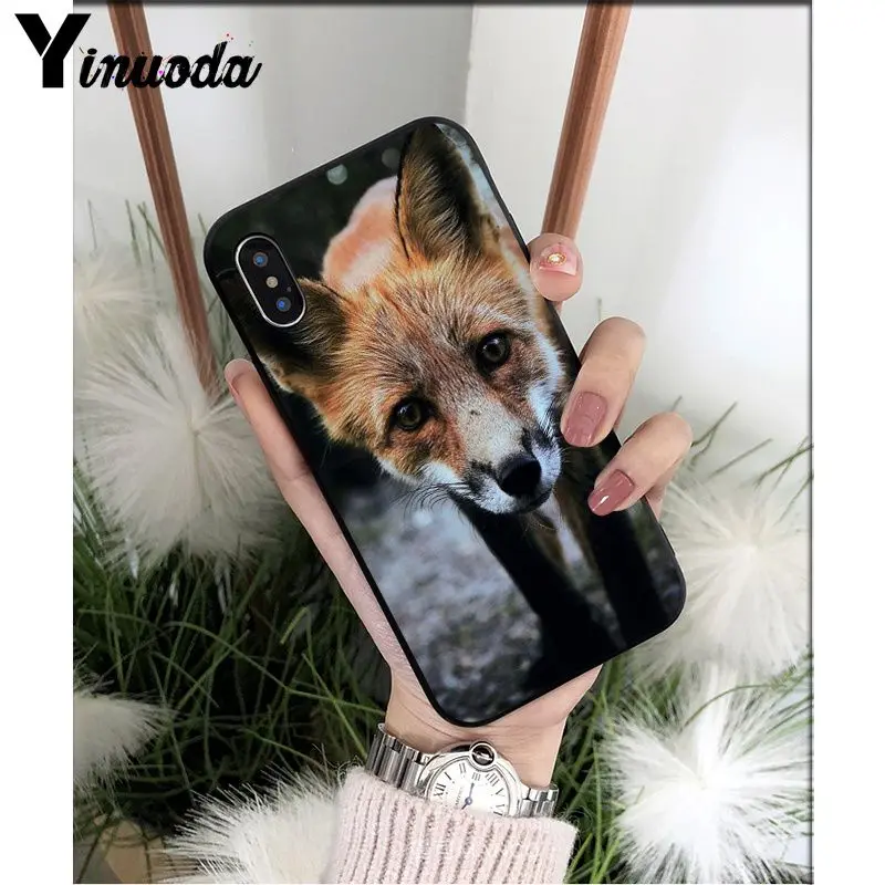 Yinuoda аниме лиса Забавный foxs милый мягкий Силиконовый ТПУ чехол для телефона iPhone 5