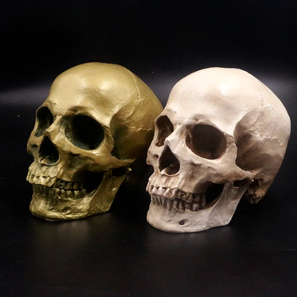 2019 Human Skull Lifesize 1 1 Resin Skull Medical Model Aquarium