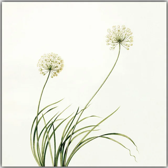 Fresh-Nature-Flowers-Are-Modern-and-Simple-Canvas-Painting-Art-Print-Poster-Picture-Wall-Paintings-Home.jpg_640x640 (3)