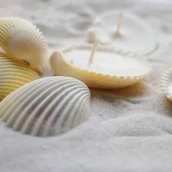 

Free Shipping(1 box/set)Natural Lion shell Aromatherapy Candle For Wedding Decor Coastal Home Decor Craft Seashells