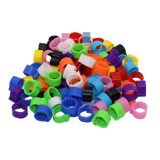 1000 Pcs Pigeons Rings 8mm/10mm Bayonet Identification Ring Opening Pigeon Ring Color Pigeon Foot Ring Pigeon Training Supplies