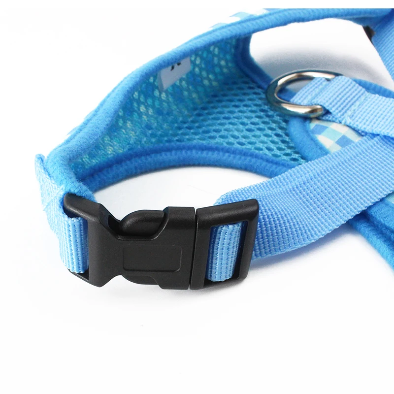 10 leash 