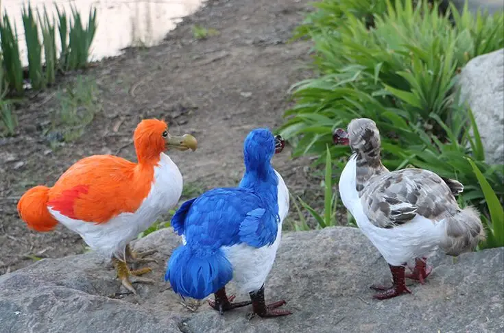 Grande 30 Cm Piume Dodo Uccello Raphus Cucullatus Polietilene E Pellicce Artigianato Decorazione Del Giardino Giocattolo Regalo Di Compleanno A1924 Gift Gifts Gift Birthdaygift Toys Aliexpress