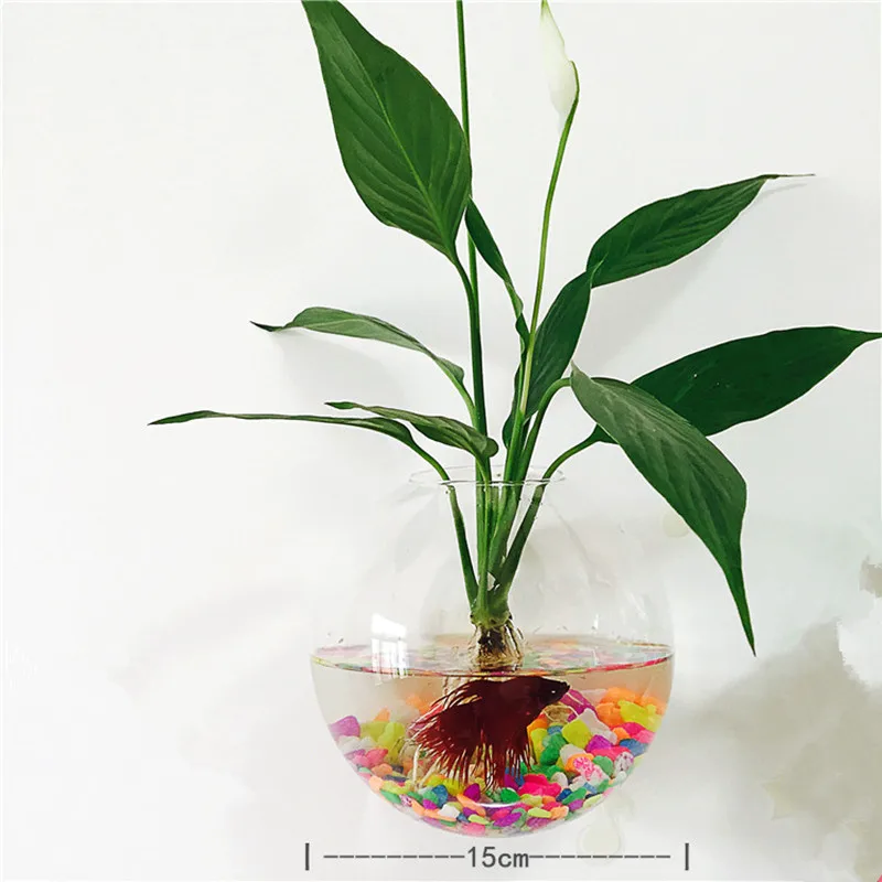 

Diameter=15cm Wall Mounted Glass Terrarium Vase with open Home Decorative Hanging Glass Vase Glass Fishbowl