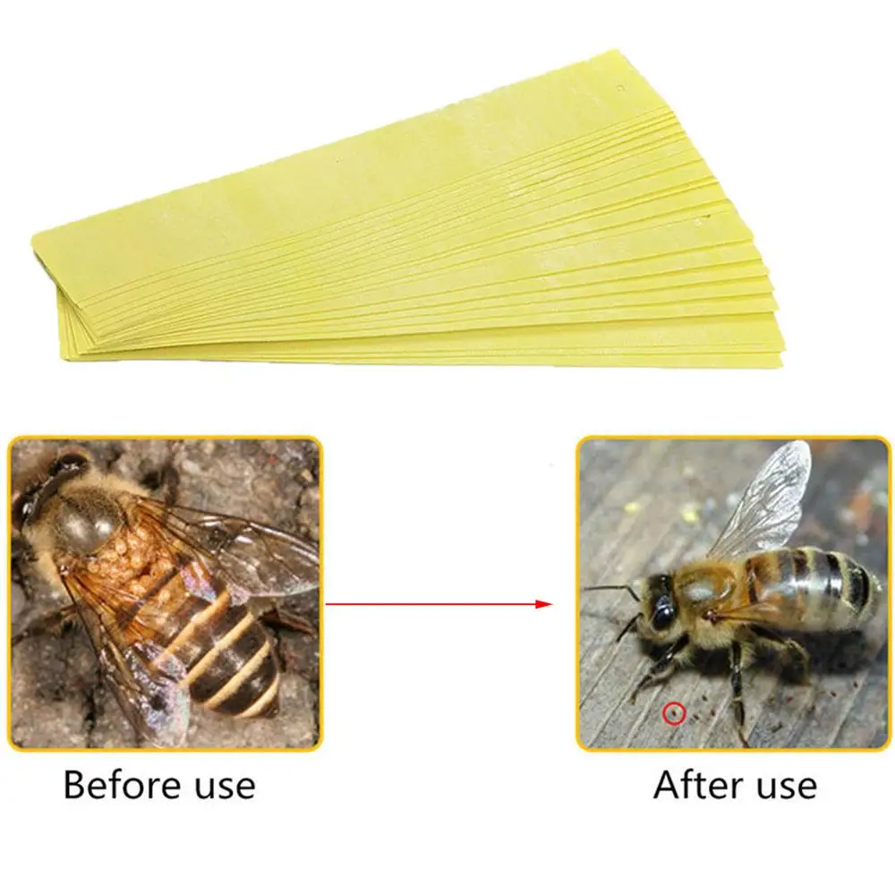 

1bag professional 20 strips varroa mite control flumethrin killer strip fluvalinate for bees acaricide beekeeping treat