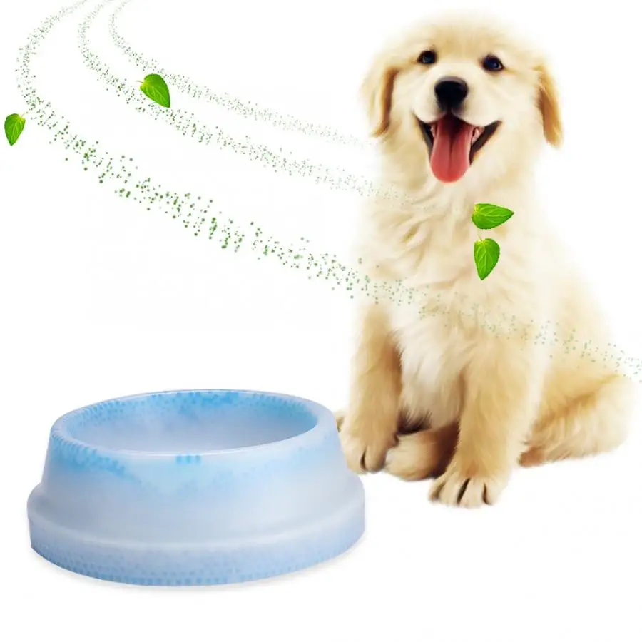 

Pet Bowl Stays Cool & Frosty Chilled Dog Cat Bowl Cooling Water Bowl Feeder Dog Cat Outdoor Drinking Water Bowl