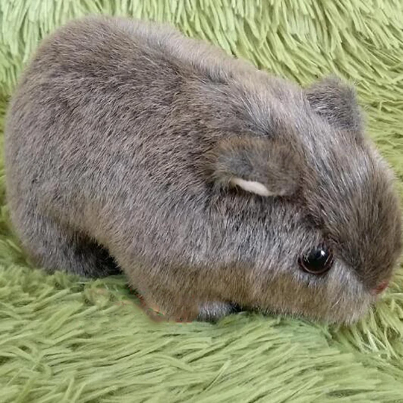 Wild World Guinea Pig Plush Cavia porcellus Doll C...
