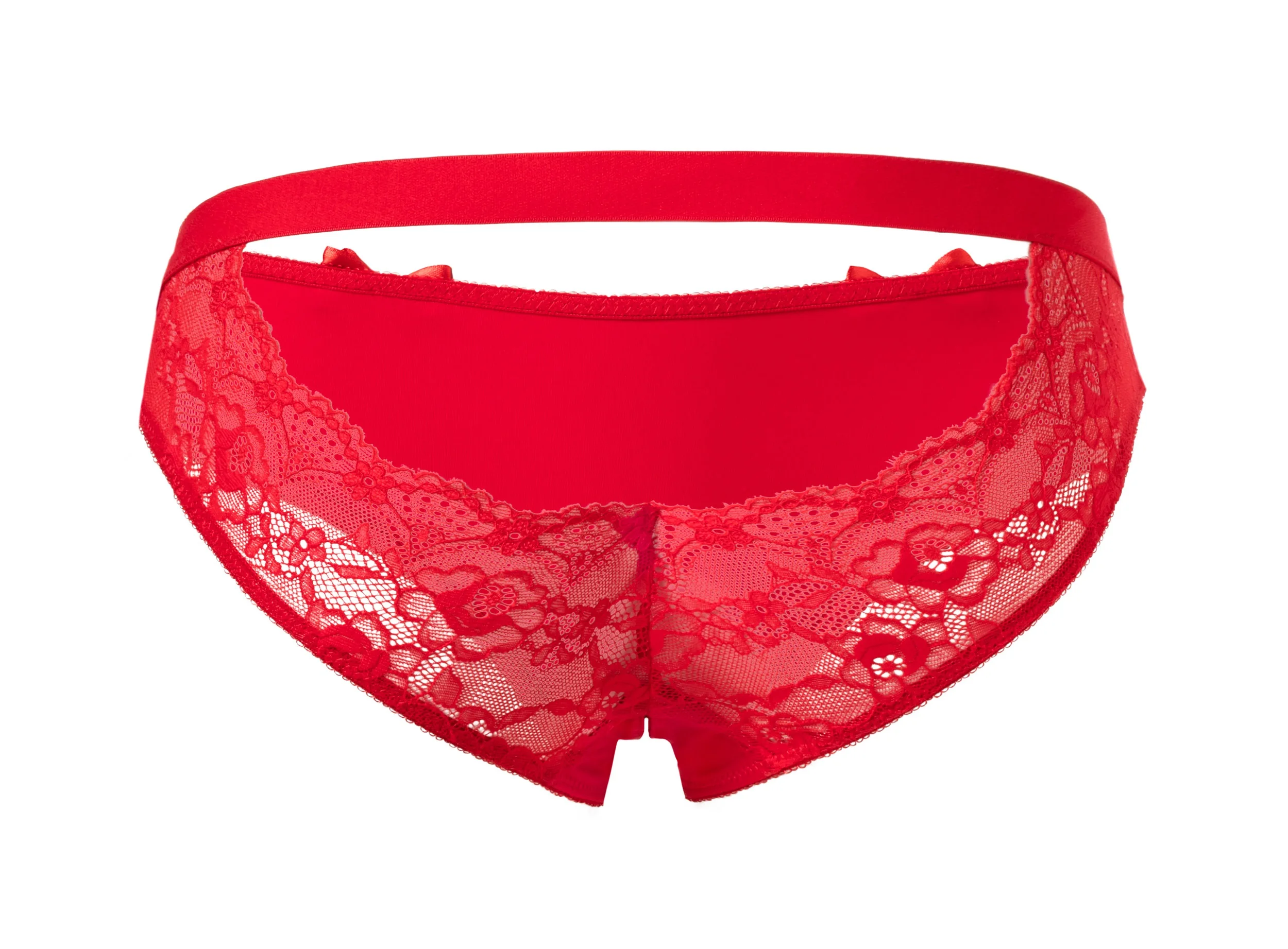 Rene Rofe Crotchless Open Back Lace Lingerie Bow Sexy Plus Size Panties Women Briefs Underwear Sexy Open Crotch Lingerie Rene Rofe Crotchless Open Back Lace Lingerie Bow Sexy Plus Size Panties Women Briefs Underwear Sexy Open Crotch Lingerie