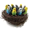 10pcs bird 1Pc Nest