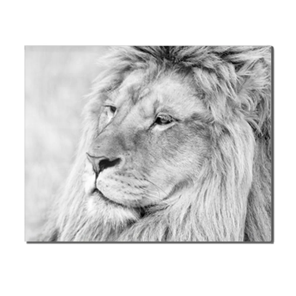 

Laeacco Cartoon Lion Posters and Prints Wild Animal Wall Art Picture for Living Room Home Decor HD Canvas Painting No Frame