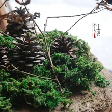 Сушеный Мох/Окрашенные Зеленый/фэнтези миниатюры/Прекрасный милый/Сказочный Садовый Гном/Террариум с мхом Декор/ремесла/Бонсай/DIY/модель