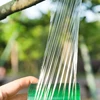 2cm 2.5cm 3cm width Grafting Tape Self-adhesive Agricultural Fruit Tree Belt Plastic Transparent Stretch Film Grafting Bandage ► Photo 3/6