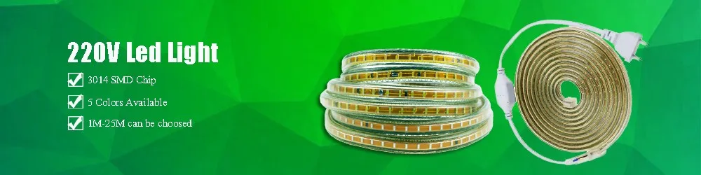 strip220v2