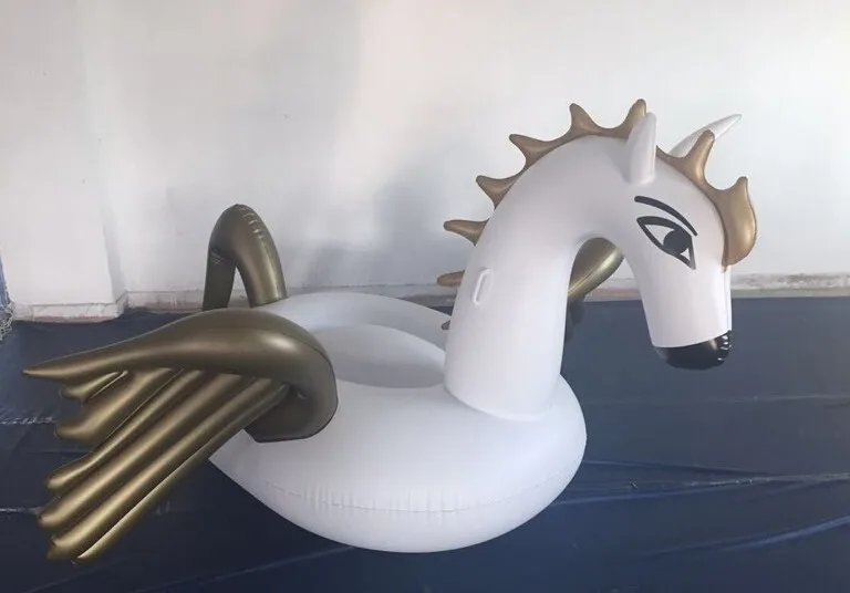 pegasusu floating