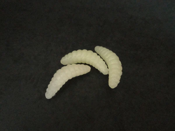 grub lure beige 2