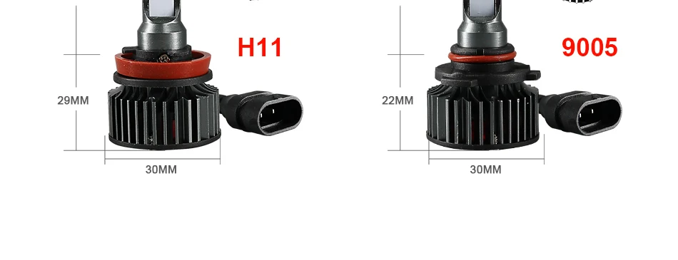 k9_20