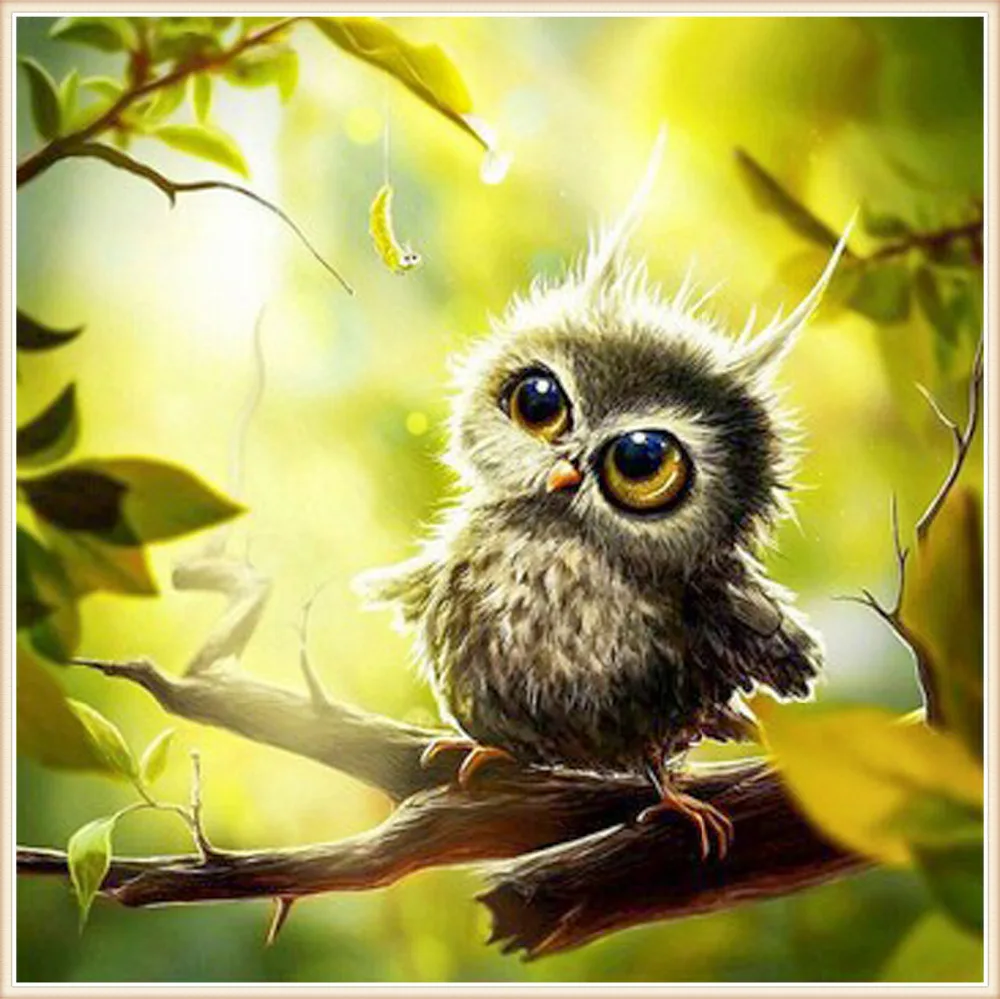 

lovely owl Needlework 5D diamond embroidery full resin diamond with picture home decor mosaic diy diamond painting square
