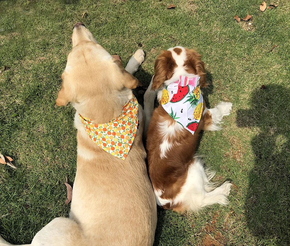 QQ20190412165840.jpg_.webp1