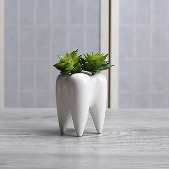 

Behogar Cute Tooth Style Ceramic Succulent Planter Flower Pot Indoor Home Desktop Decor for Small Plant Flower Bonsai Vase Decor