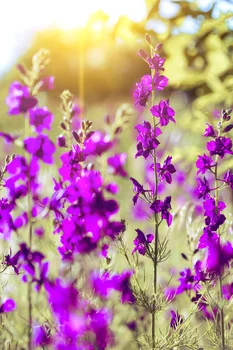

LIFE MAGIC BOX Photo Background Flower Backdrops Wedding Birthday Newborn Photography Photobooth