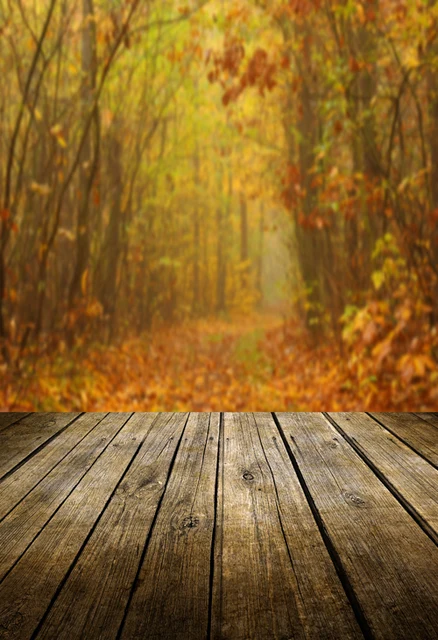 huayi fall photography wood floor backdrop autumn background xt4722