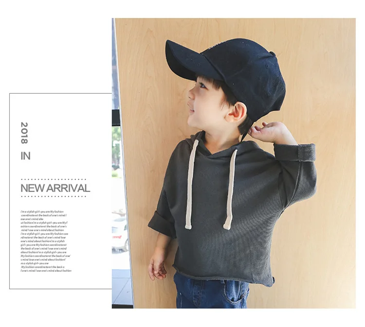 R& Z/Детский свитер г., весенне-осенний свитер с капюшоном для мальчиков однотонный Повседневный Топ