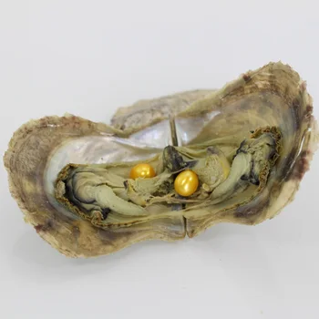 

Vibrant pearls 20 color 7-8MM twins set Rice Pearl in Oyster saltwater Natural Cultured love wish pearl oyster pearl party AO032