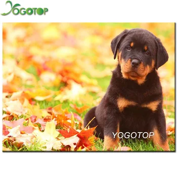 

YOGOTOP 5d Diamond Embroidery Rottweiler Painting Rhinestones 3d Diamond Animal Dog Mosaic Cross Stitch decor Accessories YY795