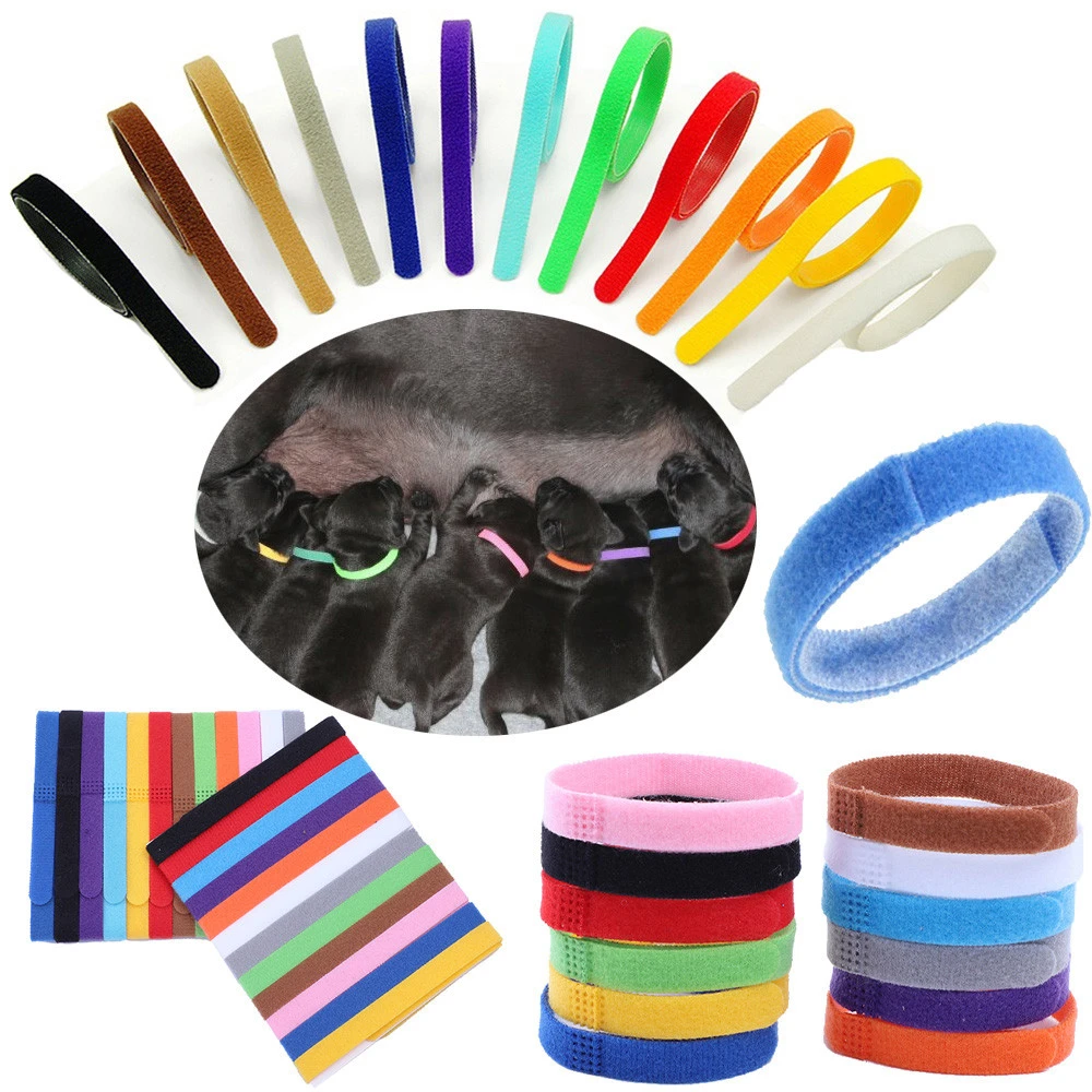 12 Colors Identification ID Collars Bands Whelp Puppy Kitten Dog Pet Cat Velvet Practical Puppy ID Collar Dropship Dog Collars 