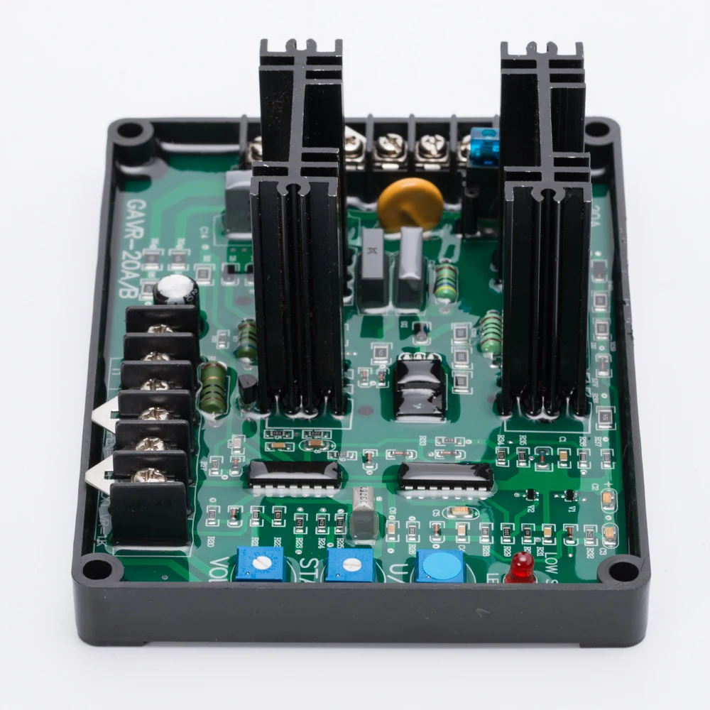 GAVR20A  (7)