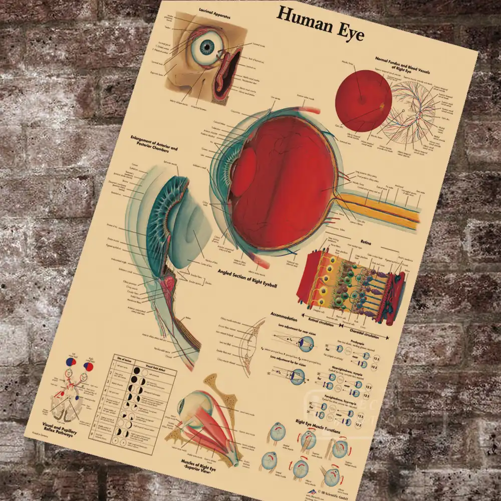 A4//A3 Poster Optics Instruments Vintage Science Poster