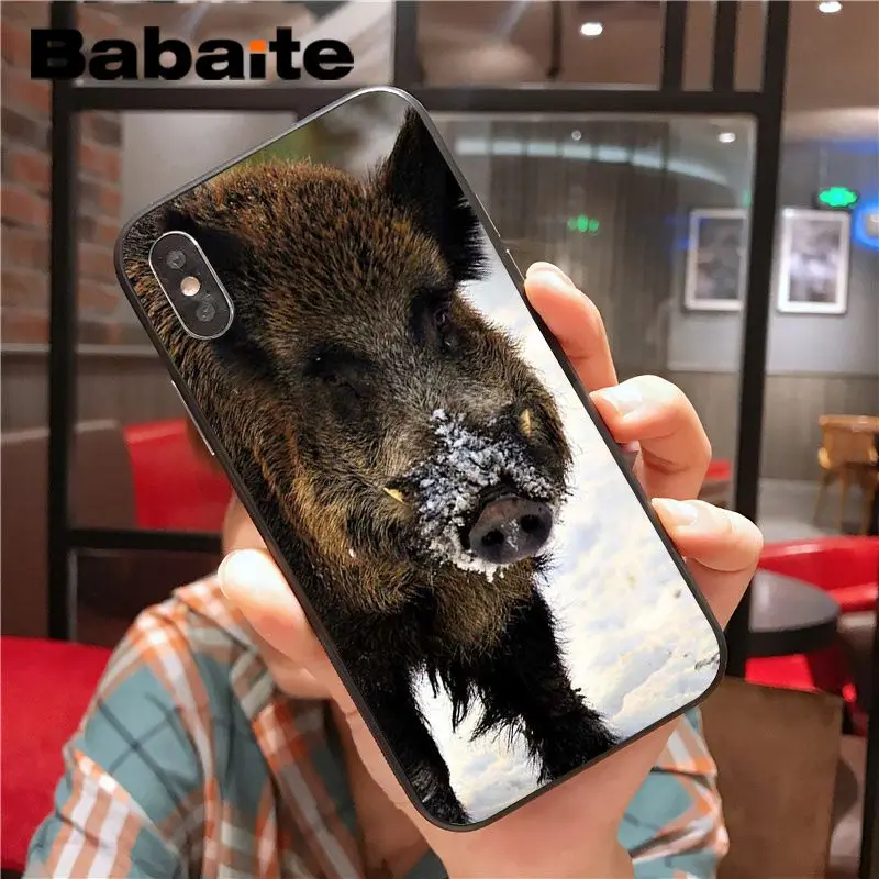 Wild Boar pig animal