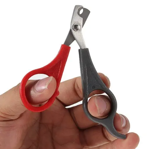 Nailclippers когти плоскогубцы ножницы nailclippers против грызунов нового дизайна с рисунком собачки и котика для ухода за ногтями