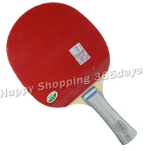 РИТЦ 729 1060# ракетка для настольного тенниса pingpong+ чехол для летучей мыши Shakehandlong handle FL