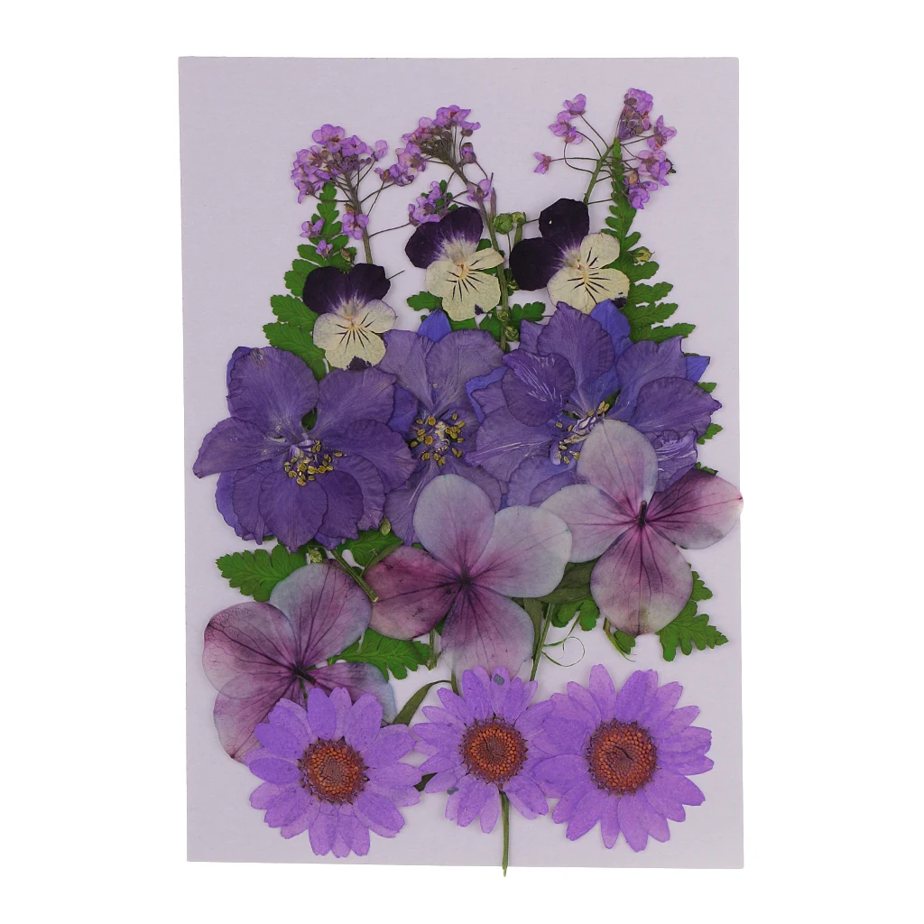 Multiple Mix Natural Pressed Dried Flowers Leaves Artificial Decorations for Greeting Card Making DIY Art Craft  2.5-3.5cm