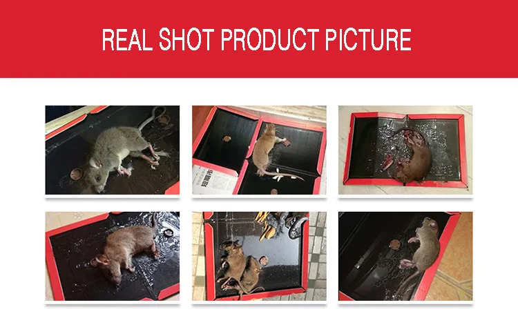 4 шт. эффективная ловушка для мыши Нетоксичная крыса-убийца Борьба с вредителями отвергаемая доска для мыши липкая ловушка для крыс клеевая доска для мыши ловушка для мышей