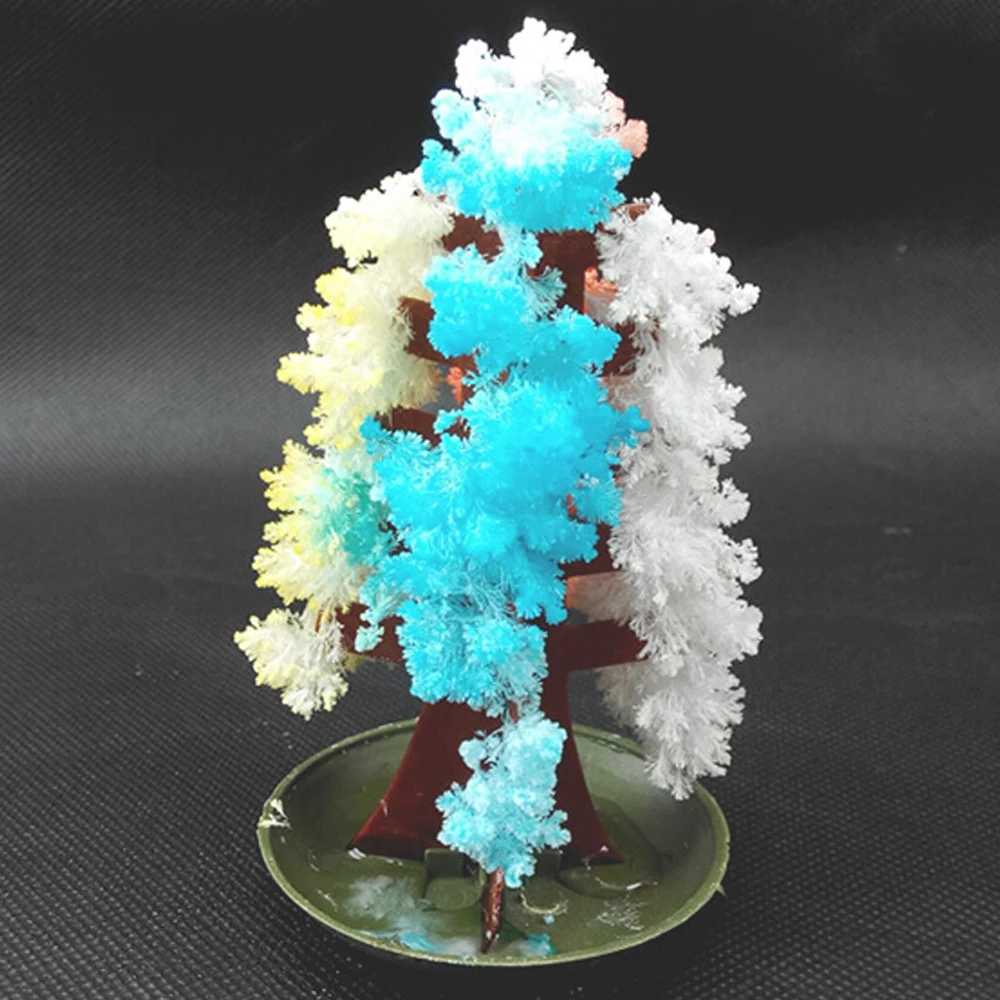 

20PCS 2019 10Hx6Dcm Visual Multicolor Magic Growing Paper Tree Mystic Christmas Trees Japan Educative Science Kids Toys Novelty
