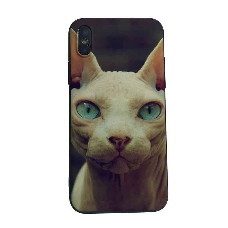 Чехол для телефона MaiYaCa Black sphynx cat чехол iPhone 8 7 6 6S Plus X XS MAX 5C 5 5S SE XR 10|Чехлы-накладки| |