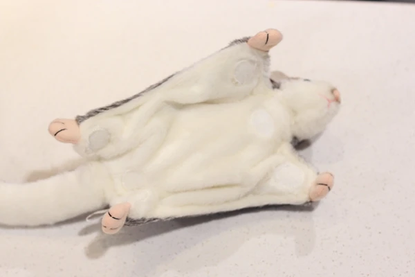 sugar glider plush toy