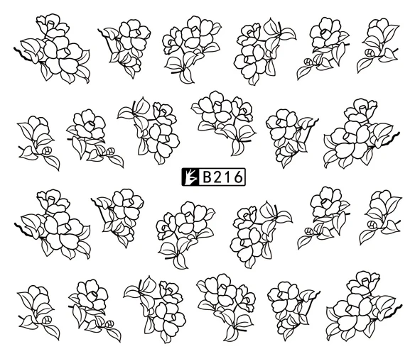 B216 