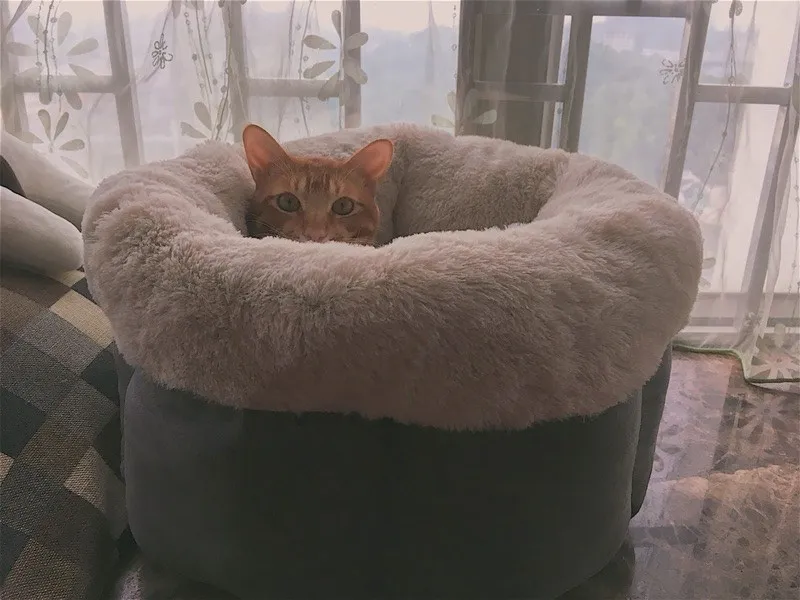 oft-Cat-Bed-Kitten-Nest-house-six-angle-pumpkin-Hexagon-Shape-Hexagon-Shape-Dog-Bed-Plush-Description-Washable-For-Small-Pet-Convenient-products-PD004 (9)