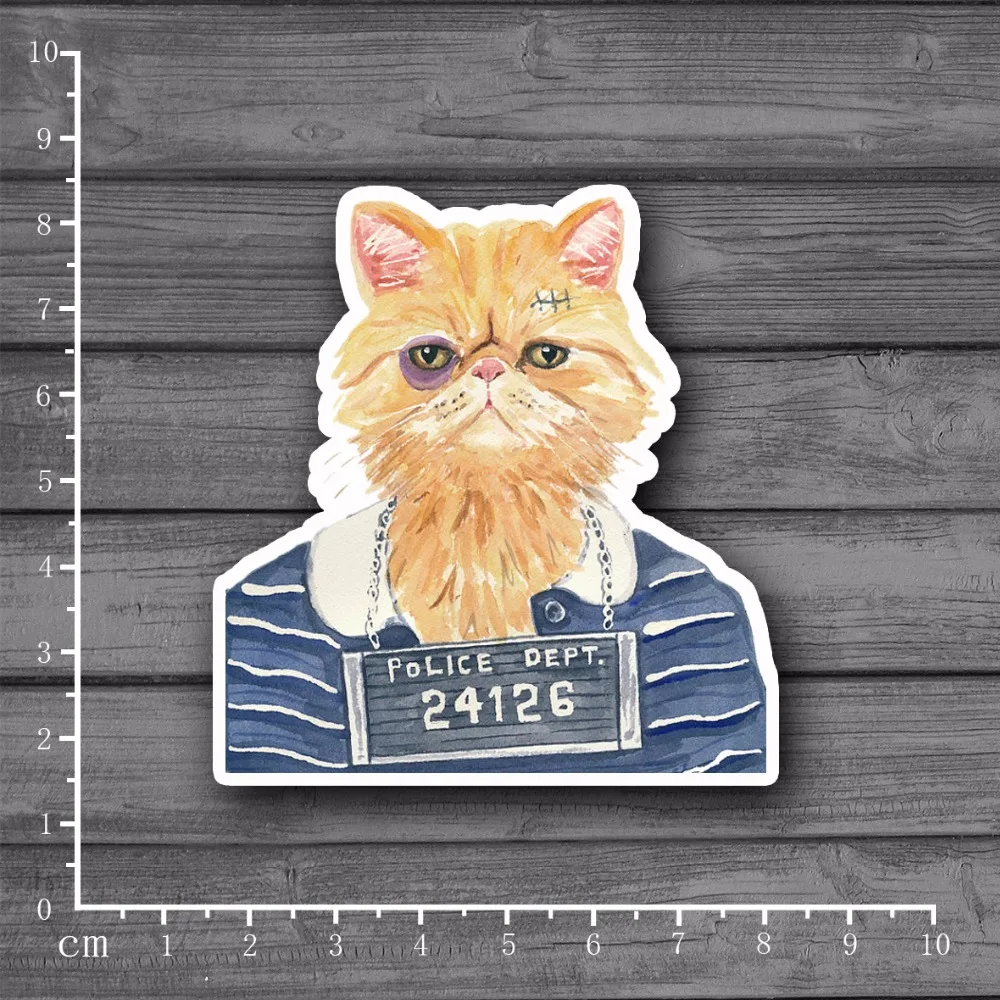 Наклейки на ноутбук с изображением кота водостойкие 24126|sticker notebook|notebook decalsdecal notebook