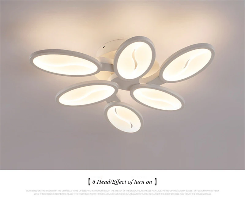 Post modern ceiling lamp (23)