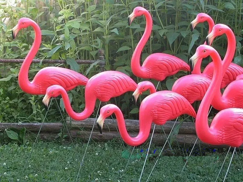 Wild Patch hier 31 "Hoogte 10 Paren/partij Plastic Heldere Roze Flamingo Tuin, Tuin En  Gazon Art Ornament Huwelijksceremonie Decoratie|pink flamingo garden| flamingo gardenpink flamingo - AliExpress