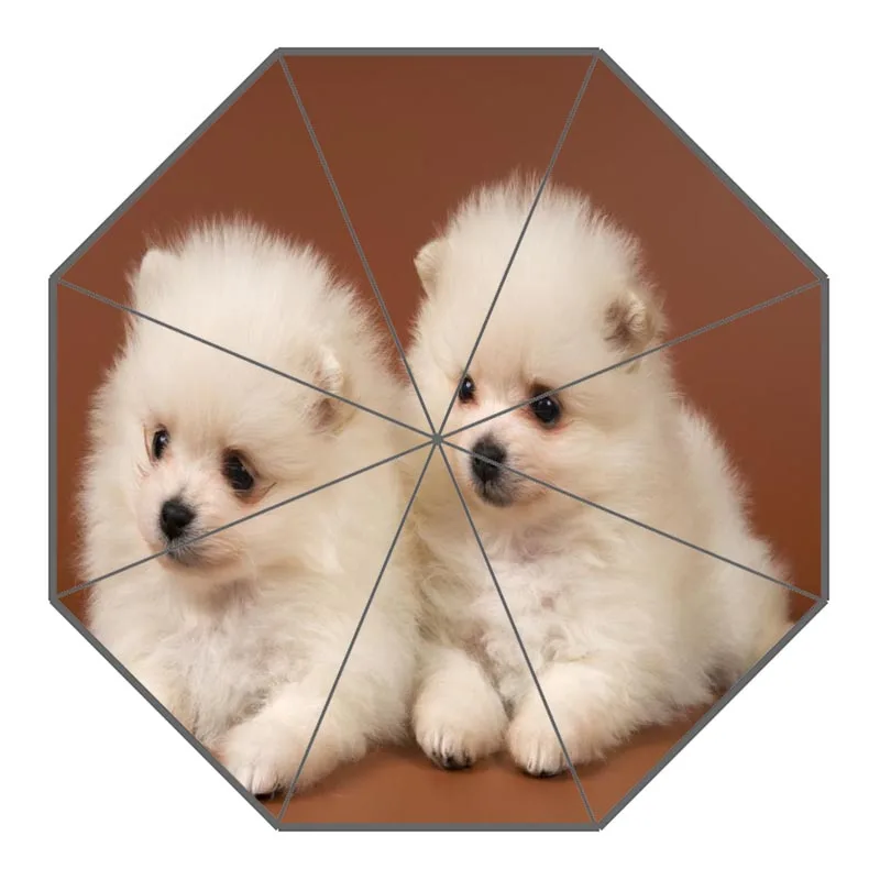 Новое поступление, померанские зонты для собак, неавтоматический складной женский зонтик от дождя, индивидуальный модный портативный зонтик, подарок - Цвет: 5