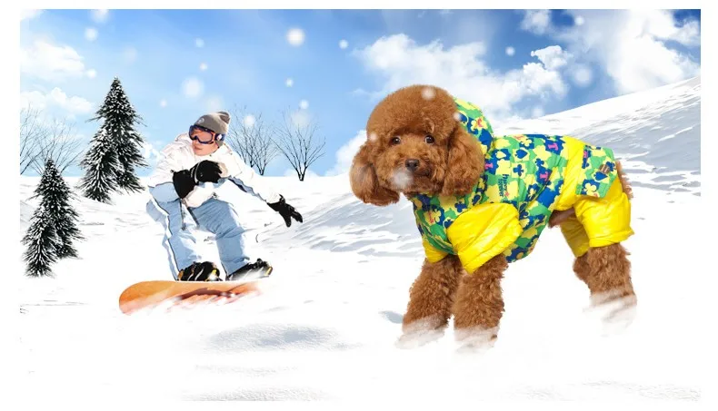 HOOPET собака кошка теплая зимняя Лыжная одежда осенняя куртка щенок пальто с капюшоном четыре фута