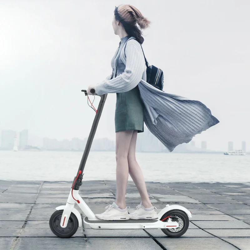 iScooter Electric Scooter Smart Folding Electric longboard Hoverboard Skateboard with LED light 2 Wheels